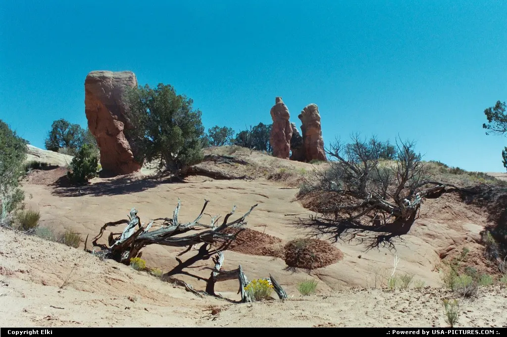 Devil's Garden, located in the Escalante Grand Staircase National Monument.