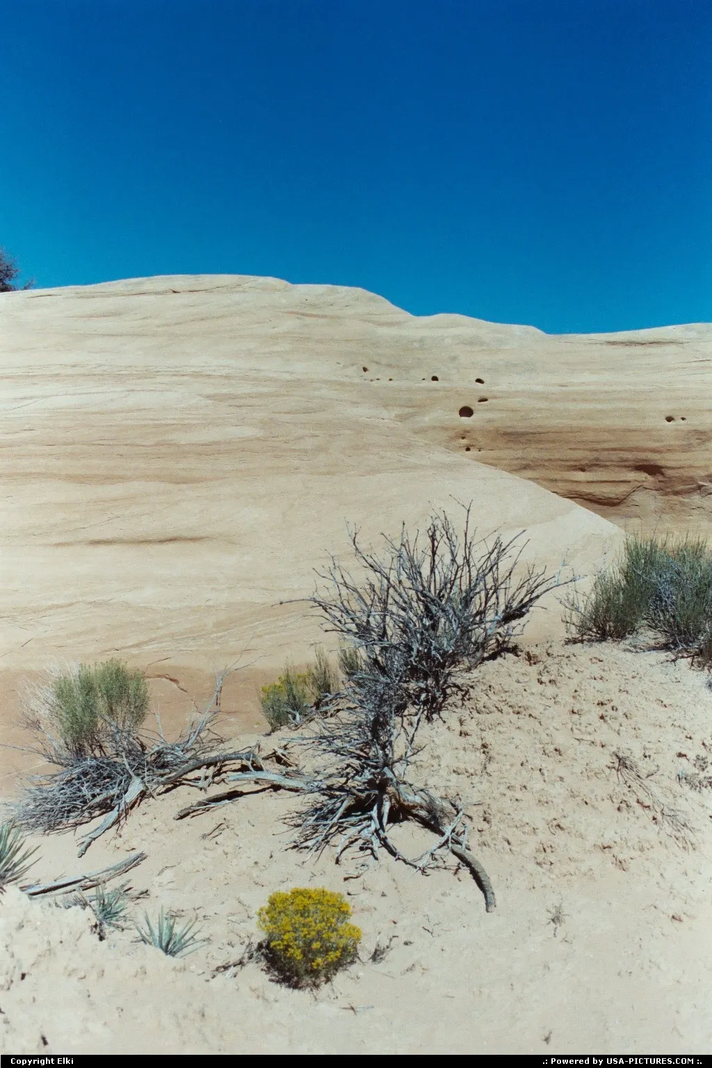 Devil's Garden, located in the Escalante Grand Staircase National Monument.
