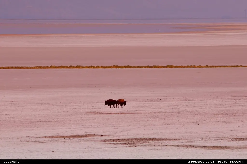 ANTELOPE ISLAND
