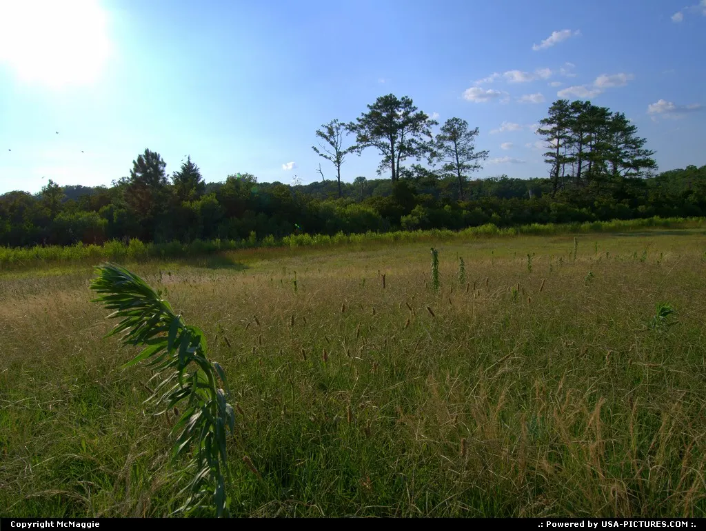 Colonial Parkway, near College Creek, outside of Williamsburg, Virginia, USA.