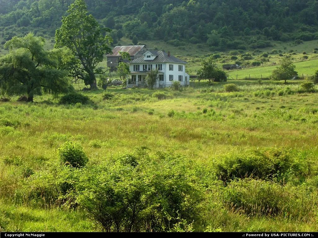 Near Montebello, Virginia, off the Blue Ridge Parkway, Appalachian Mountains.