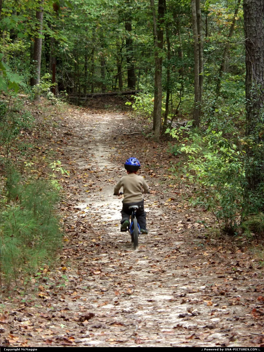 Mountain biking trails, Freedom Park, free black settlement in James City County, Willi...