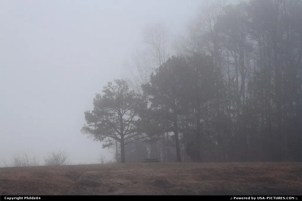 foggy morning