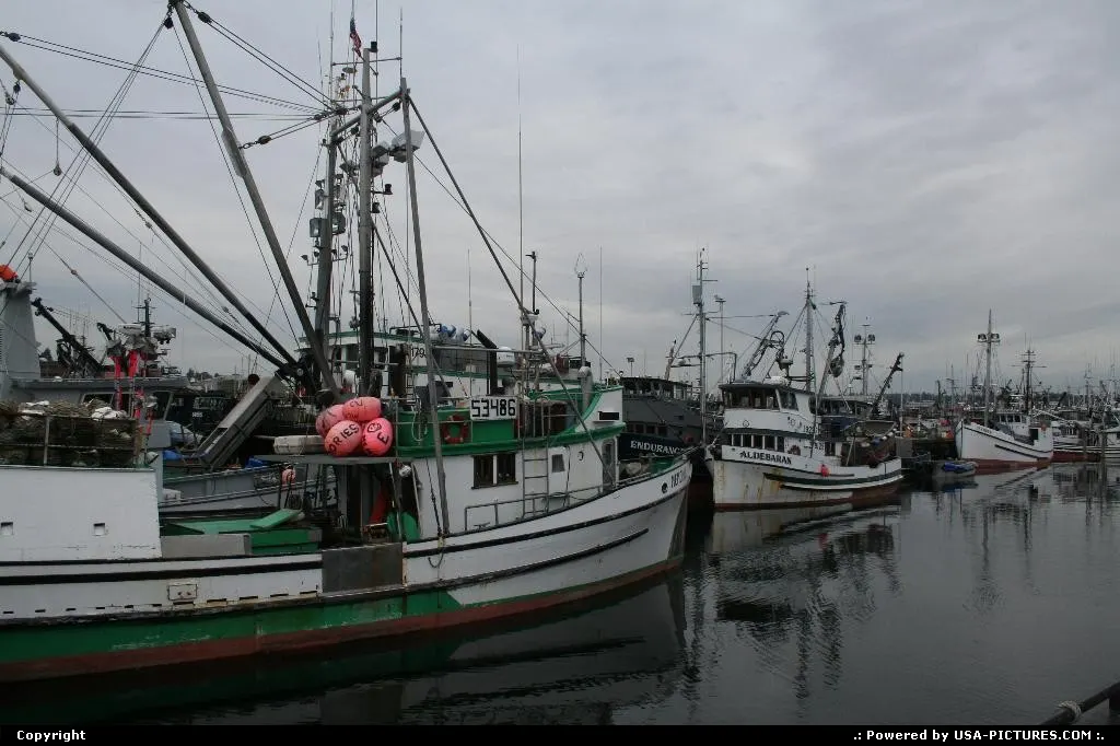 Fishermen's terminal at Seattle