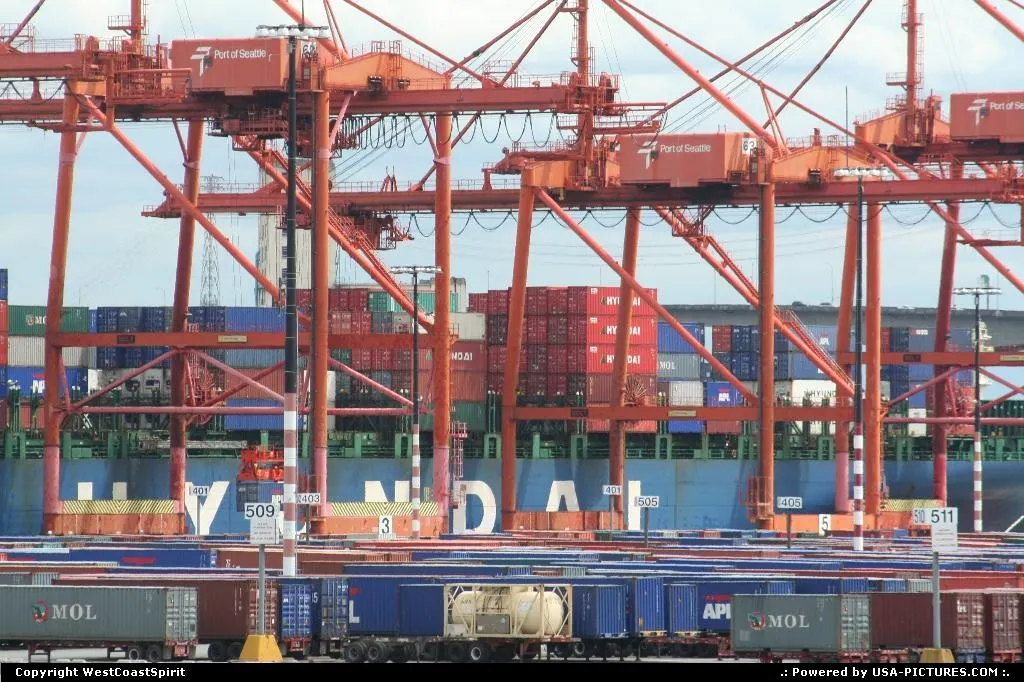 Cranes close up in Port of Seattle complex.