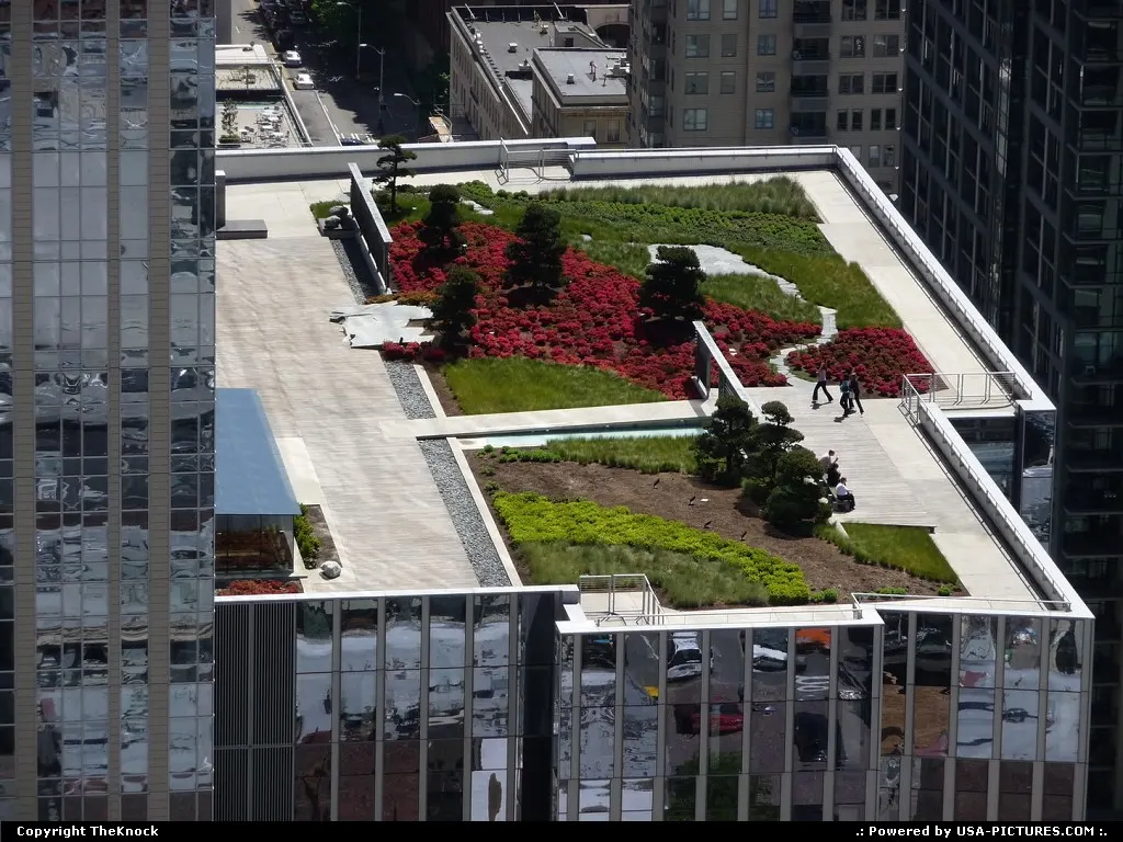 Roof Garden