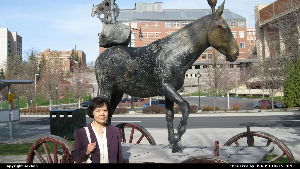 Pullman Washington Horse Still Life