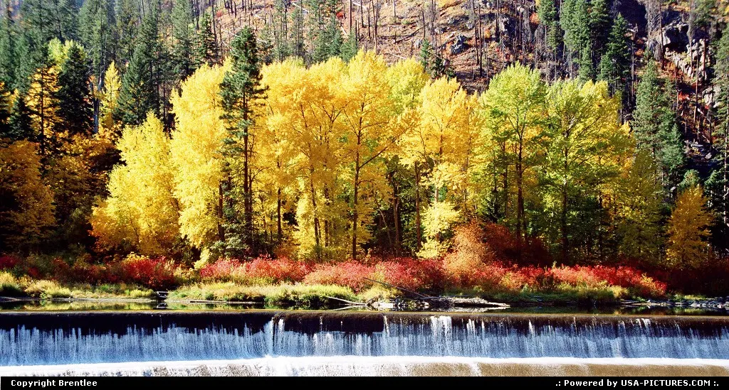 Tumwater Colors