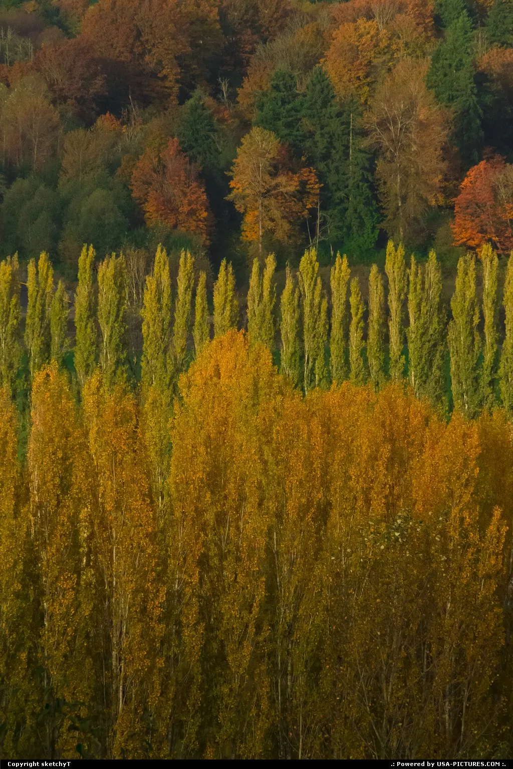 Redmond Washington