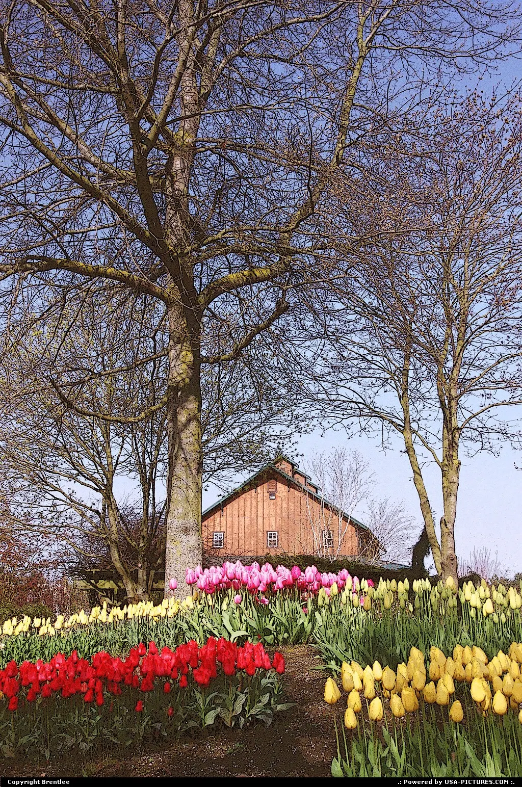 Skagit Gardens