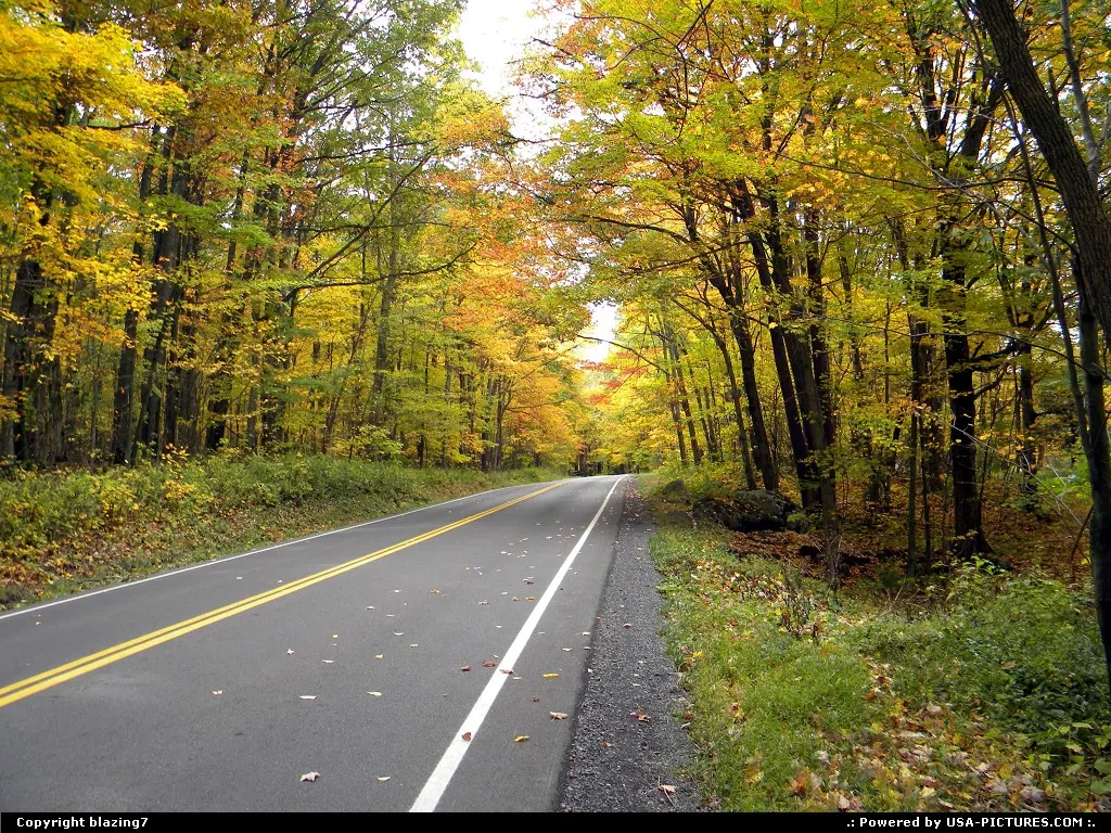 Scenic drive through Monongahela National Forest, West Virginia