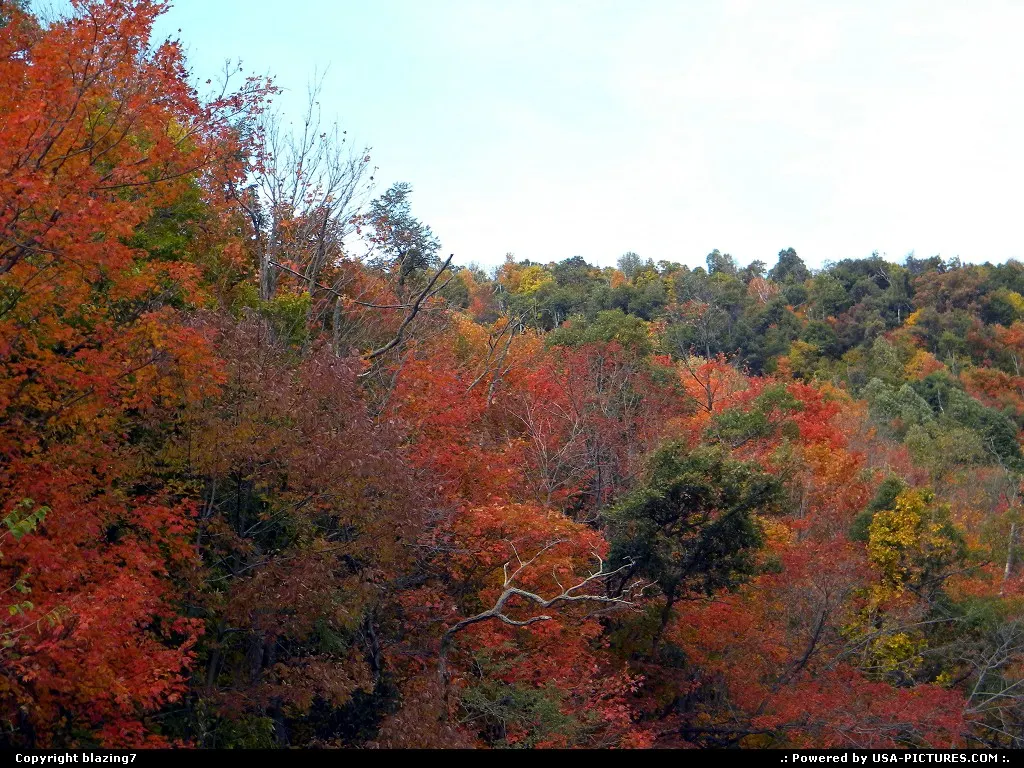 Wonderful blend of colors in the fall foliage of West Virginia