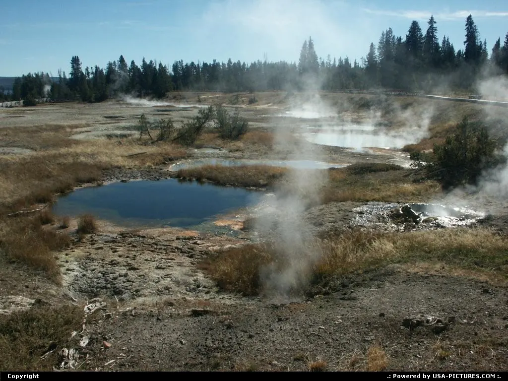 Natural SPA within the Park. Bisons only, sorry!