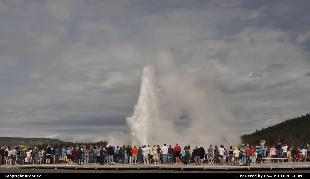 Old Faithful