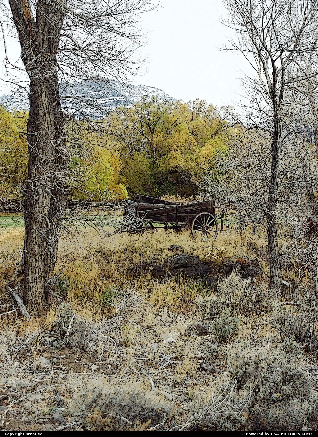 Wapiti Wagon