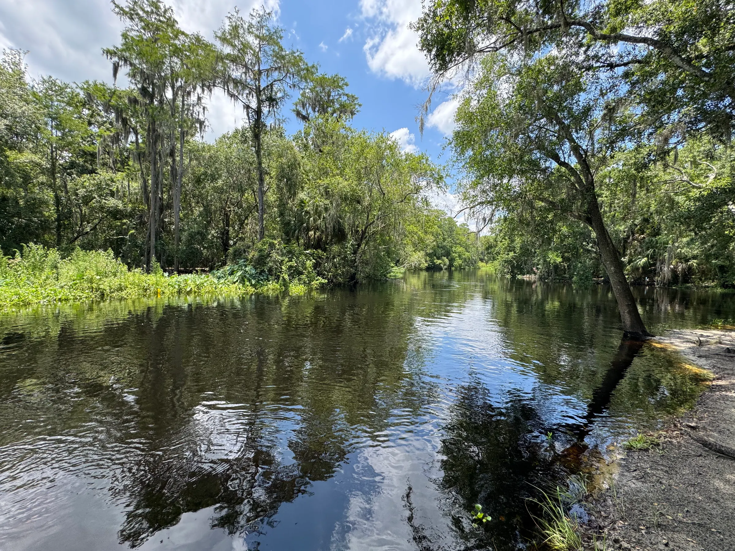 Near Kissimmee, Florida