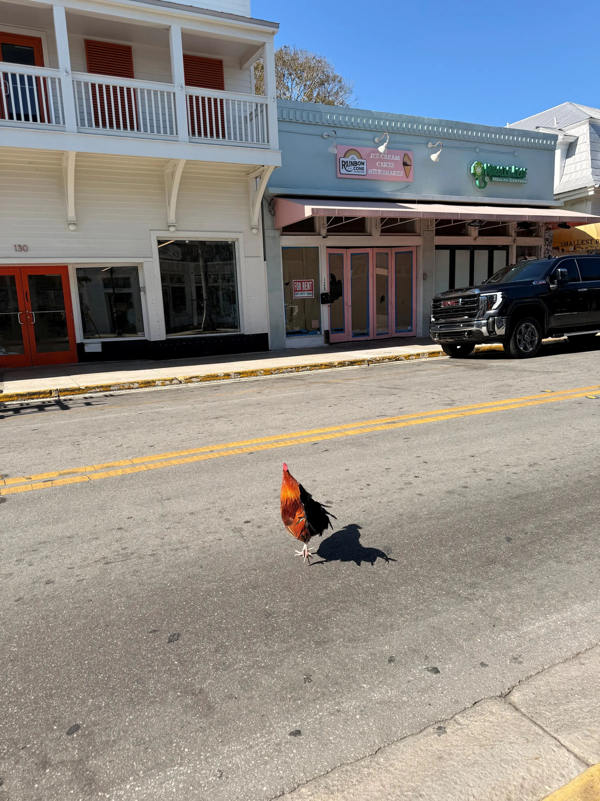 Iconic roaster on iconic Duval Street in front of iconic Smallest Bar